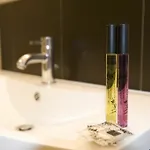 Hotel Enzo Hotels Diane - Logis Amneville Amneville